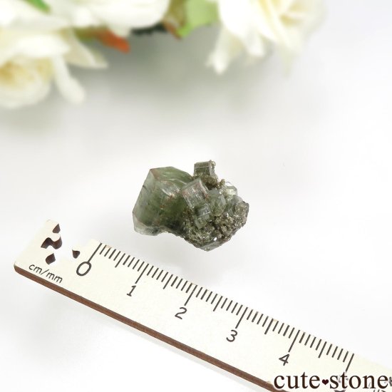 ݥȥ Panasqueira Mines ѥȡ⥹ХȤθ No.4μ̿3 cute stone