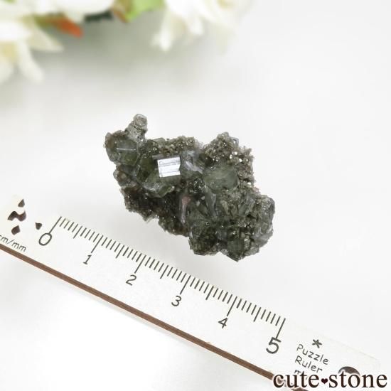 ݥȥ Panasqueira Mines ѥȡġ⥹ХȤθ No.6μ̿4 cute stone