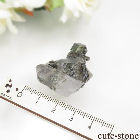 ݥȥ Panasqueira Mines ѥȡĤθ No.8μ̿5 cute stone