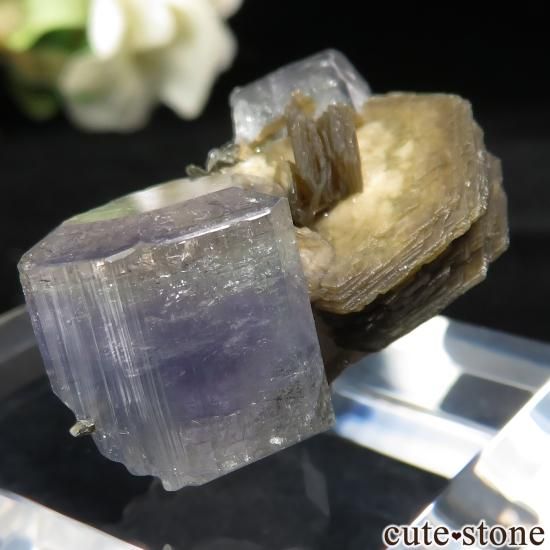 ݥȥ Panasqueira Mines ѥȡǥ饤Ȥθ No.10μ̿0 cute stone