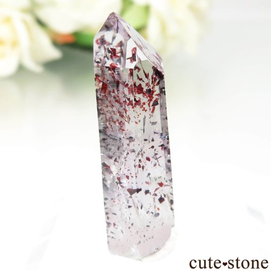 ʥߥӥ Goboboseb ԥɥȥ󥯥ġʥեġˤθ No.6μ̿0 cute stone