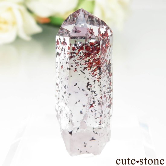 ʥߥӥ Goboboseb ԥɥȥ󥯥ġʥեġˤθ No.6μ̿1 cute stone
