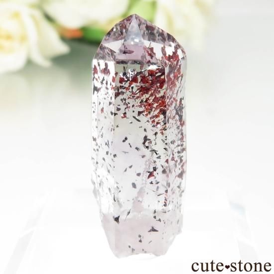 ʥߥӥ Goboboseb ԥɥȥ󥯥ġʥեġˤθ No.6μ̿1 cute stone