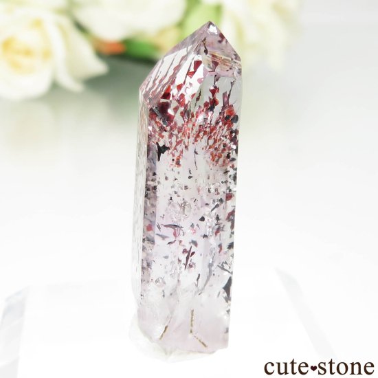 ʥߥӥ Goboboseb ԥɥȥ󥯥ġʥեġˤθ No.6μ̿2 cute stone