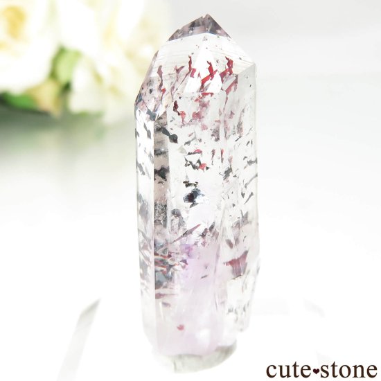 ʥߥӥ Goboboseb ԥɥȥ󥯥ġʥեġˤθ No.7μ̿1 cute stone