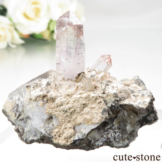 ʥߥӥ Goboboseb ԥɥȥ󥯥ġʥեġˤθ No.8μ̿2 cute stone