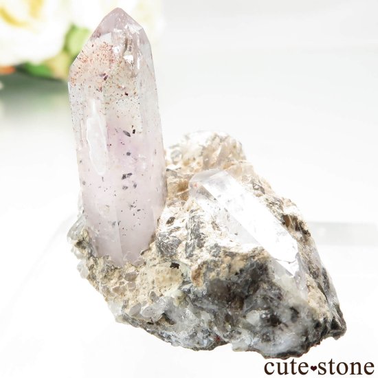 ʥߥӥ Goboboseb ԥɥȥ󥯥ġʥեġˤθ No.8μ̿3 cute stone