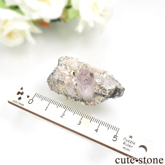 ʥߥӥ Goboboseb ԥɥȥ󥯥ġʥեġˤθ No.8μ̿4 cute stone