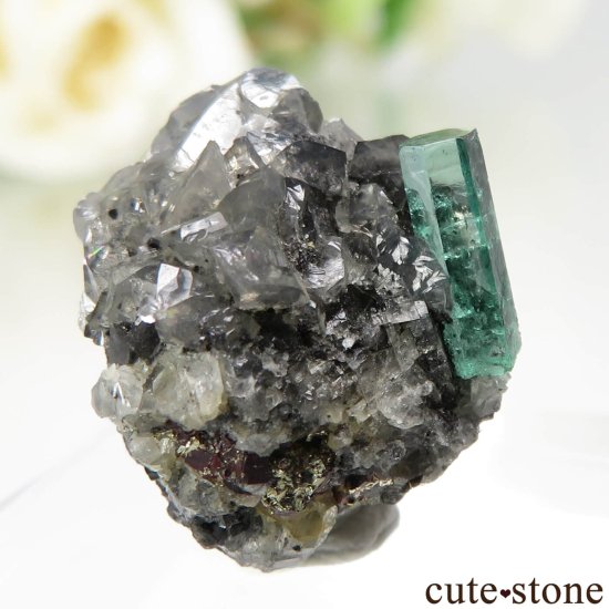 ӥ Muzo Mine ɤդ No.11μ̿0 cute stone