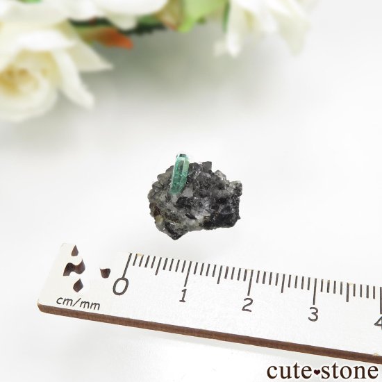 ӥ Muzo Mine ɤդ No.11μ̿5 cute stone