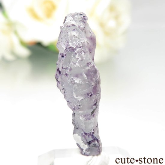 ʥߥӥ 󥴻 ѡץե饤ȡ֥åȥޥθ No.14μ̿2 cute stone