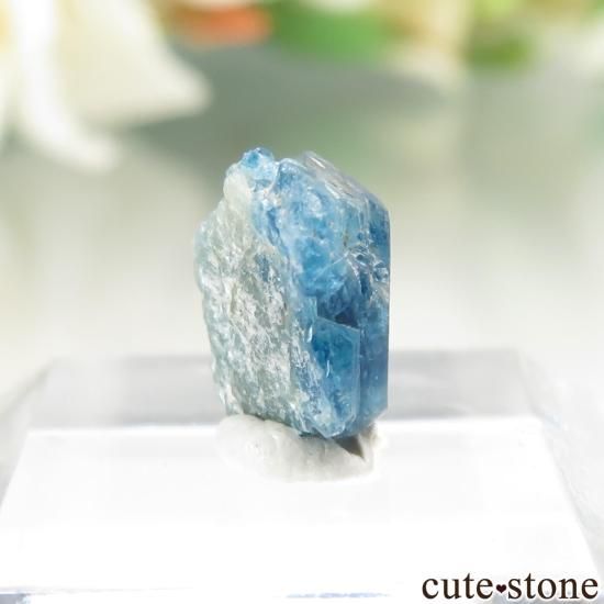 Х֥ Last Hope Mine 桼졼θ No.5μ̿1 cute stone