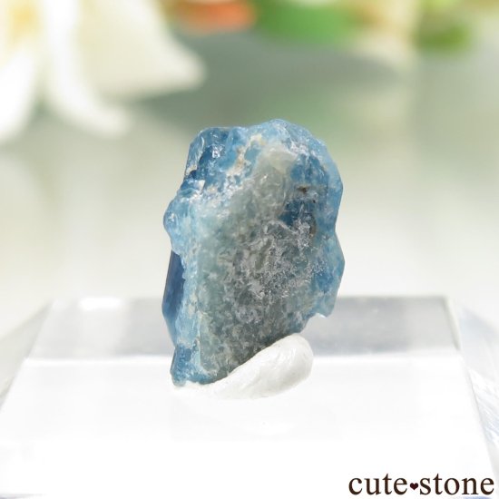 Х֥ Last Hope Mine 桼졼θ No.5μ̿2 cute stone