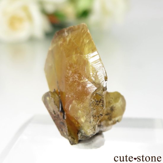 パキスタン Zagi Mountain産 スフェーン（チタナイト）の原石 No.2の写真1 cute stone