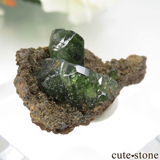 ֥饸 Sao Gabriel da Cachoeira ɥޥȤθ No.8μ̿0 cute stone
