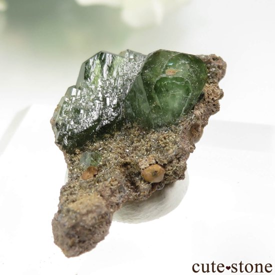 ֥饸 Sao Gabriel da Cachoeira ɥޥȤθ No.8μ̿2 cute stone