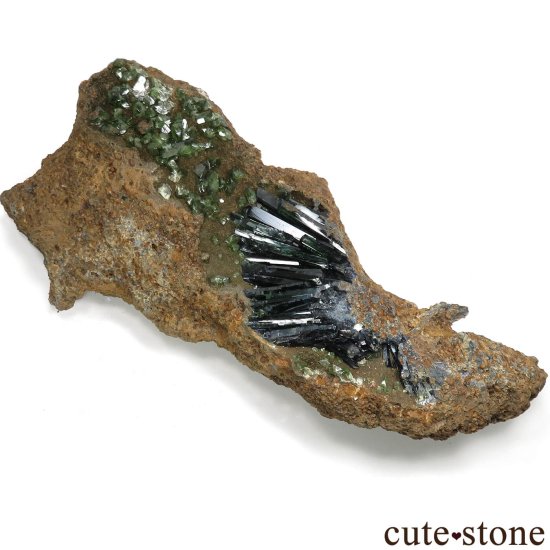֥饸 Sao Gabriel da Cachoeira ӥӥʥȡɥޥȤθ No.7μ̿0 cute stone