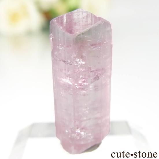 ե˥ Paprok ԥ󥯥ȥޥθ No.12μ̿1 cute stone