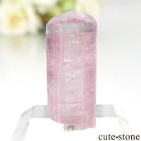 ե˥ Paprok ԥ󥯥ȥޥθ No.12β