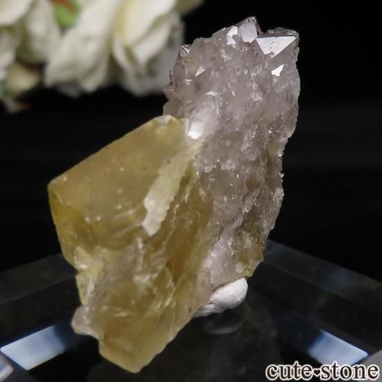 å El Hammam Mine ե饤ȡĤθ No.12μ̿1 cute stone