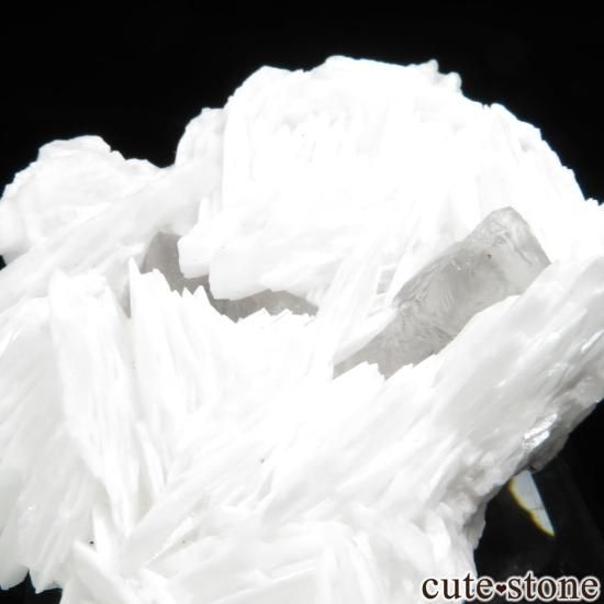 ڥ Emilio Mine ե饤ȡХ饤Ȥθ No.10μ̿3 cute stone