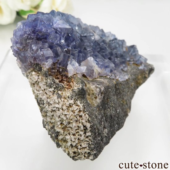 ڥ Emilio Mine ֥롼ե饤Ȥθ No.14μ̿0 cute stone