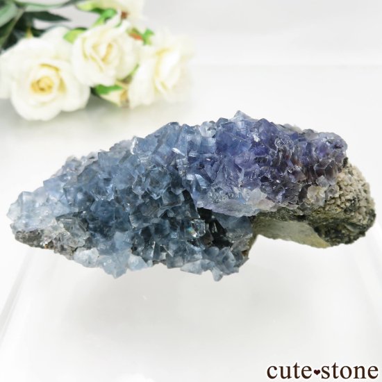 ڥ Emilio Mine ֥롼ե饤Ȥθ No.14μ̿1 cute stone