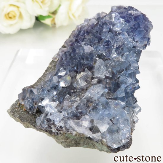 ڥ Emilio Mine ֥롼ե饤Ȥθ No.14μ̿2 cute stone