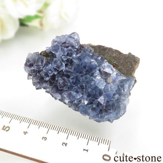 ڥ Emilio Mine ֥롼ե饤Ȥθ No.14μ̿5 cute stone