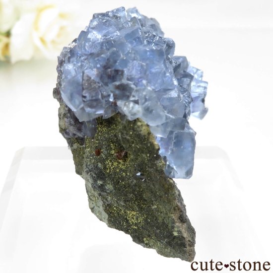 ڥ Emilio Mine ֥롼ե饤ȡĤθ No.15μ̿0 cute stone
