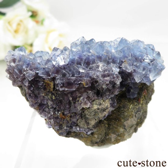 ڥ Emilio Mine ֥롼ե饤ȡĤθ No.15μ̿1 cute stone