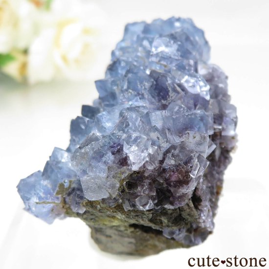 ڥ Emilio Mine ֥롼ե饤ȡĤθ No.15μ̿2 cute stone