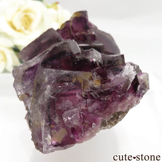 ʥߥӥ Okorusu Mine ե饤Ȥθ No.29μ̿0 cute stone