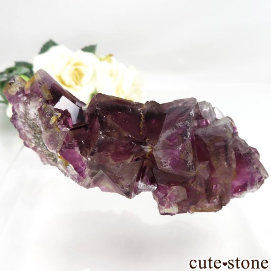 ʥߥӥ Okorusu Mine ե饤Ȥθ No.29μ̿1 cute stone