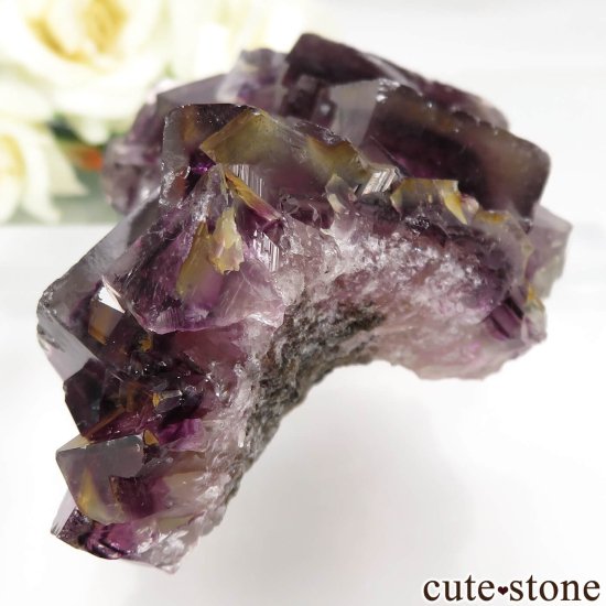 ʥߥӥ Okorusu Mine ե饤Ȥθ No.29μ̿2 cute stone