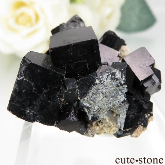 ɥ Zehntausend Ritter Mine ֥åե饤 No.15μ̿0 cute stone