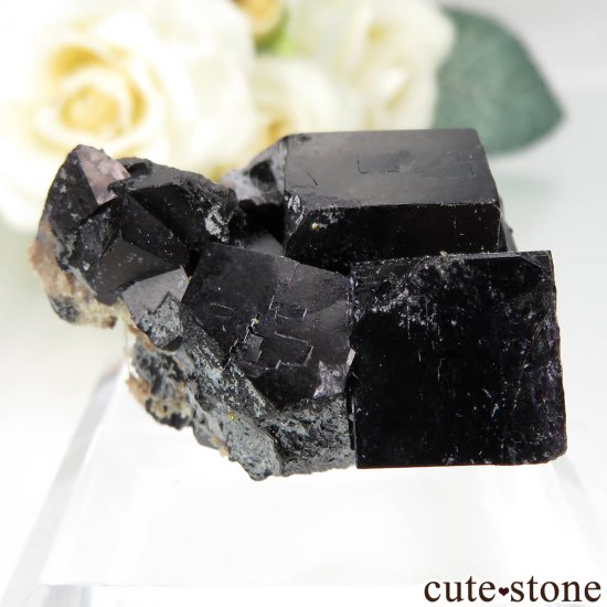 ɥ Zehntausend Ritter Mine ֥åե饤 No.15μ̿1 cute stone