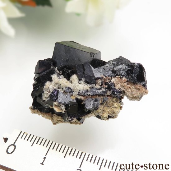 ɥ Zehntausend Ritter Mine ֥åե饤 No.15μ̿3 cute stone