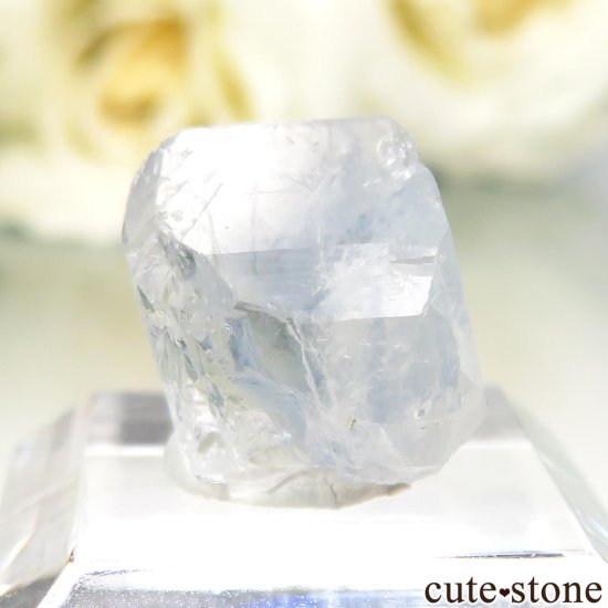 ֥饸 Equador 桼졼θ No.56μ̿0 cute stone