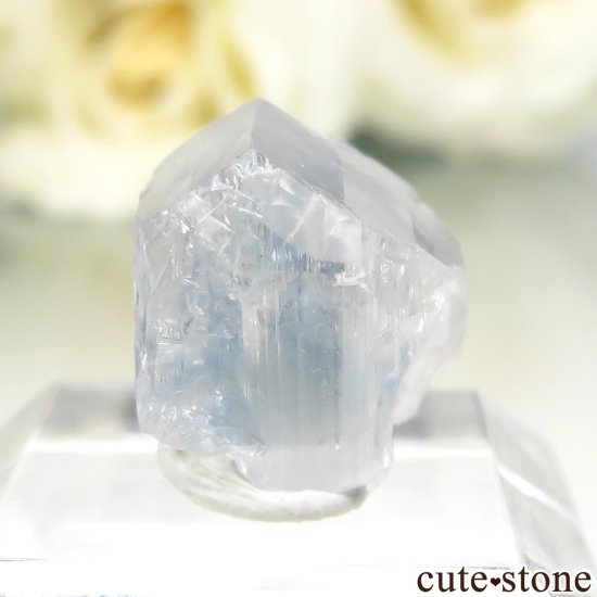 ֥饸 Equador 桼졼θ No.56μ̿1 cute stone