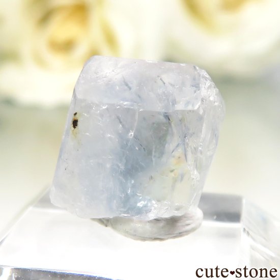 ֥饸 Equador 桼졼θ No.56μ̿2 cute stone