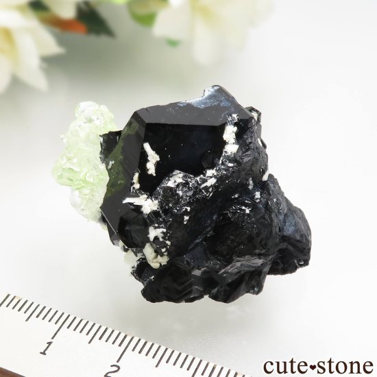 ʥߥӥ 󥴻 ϥ饤ȡ֥åȥޥθ No.3μ̿5 cute stone