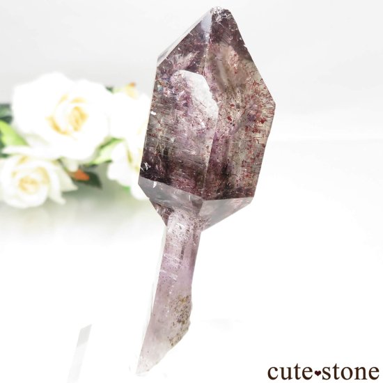 Х֥ ᥸ȡ⡼ġʥץġˤθ No.11μ̿2 cute stone