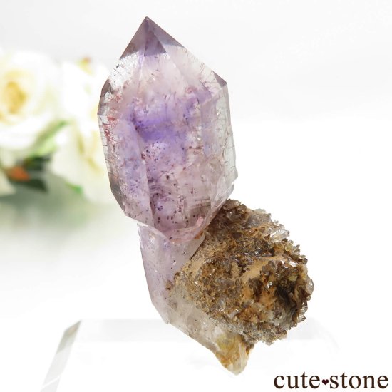 Х֥ ᥸ȡʥץġˤθ No.13μ̿1 cute stone