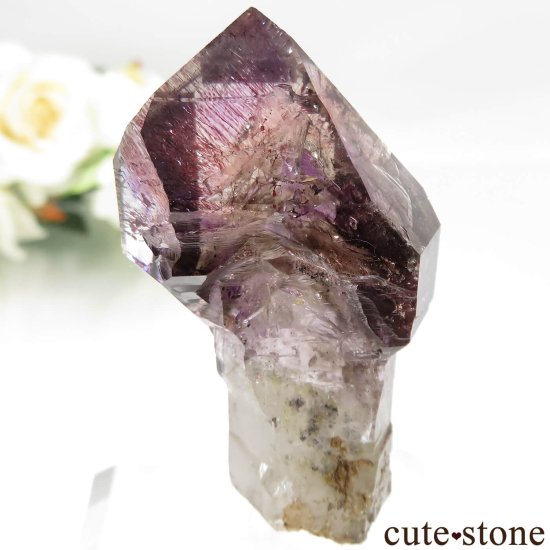 Х֥ ᥸ȡ⡼ġʥץġˤθ No.14μ̿1 cute stone