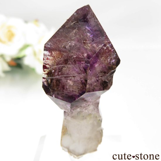 Х֥ ᥸ȡ⡼ġʥץġˤθ No.14μ̿2 cute stone