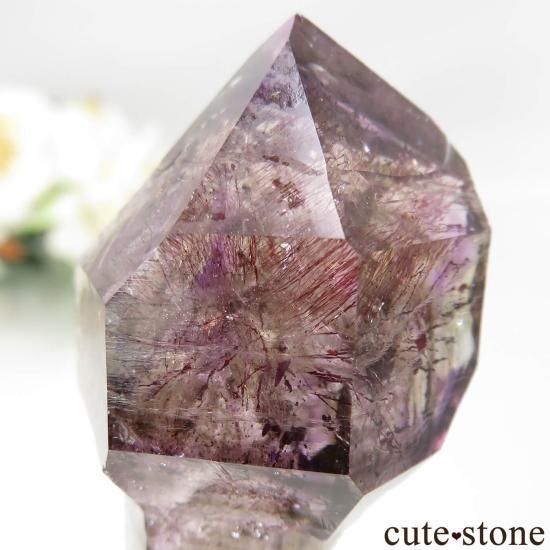 Х֥ ᥸ȡ⡼ġʥץġˤθ No.14μ̿3 cute stone