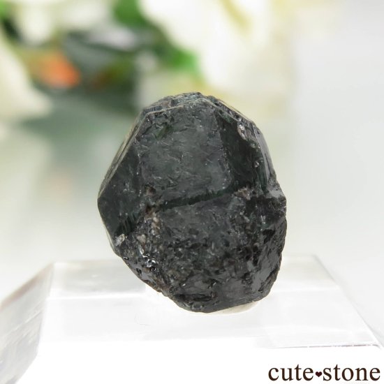 Х֥ Novello Mine 쥭ɥ饤ȡʥ꥽٥ˤθ No.5μ̿0 cute stone