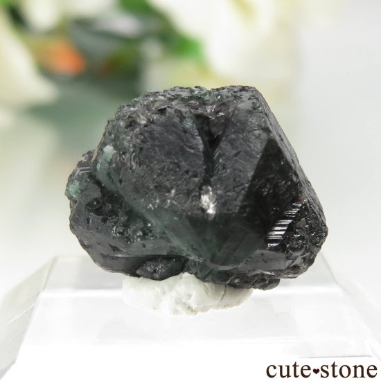 Х֥ Novello Mine 쥭ɥ饤ȡʥ꥽٥ˤθ No.5μ̿1 cute stone