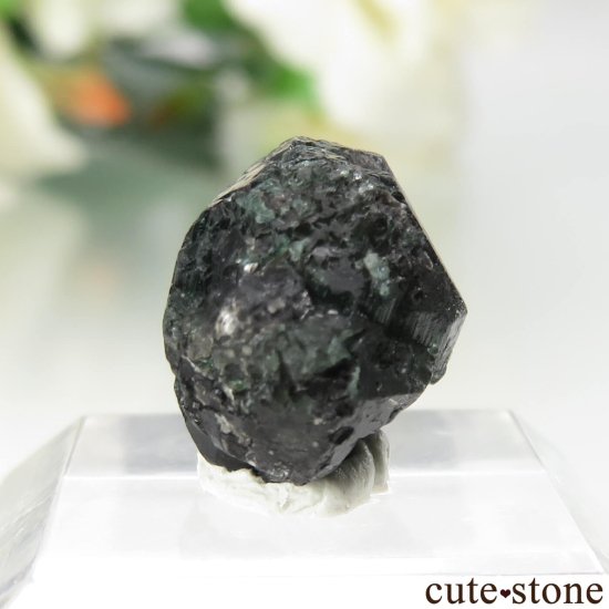 Х֥ Novello Mine 쥭ɥ饤ȡʥ꥽٥ˤθ No.5μ̿2 cute stone
